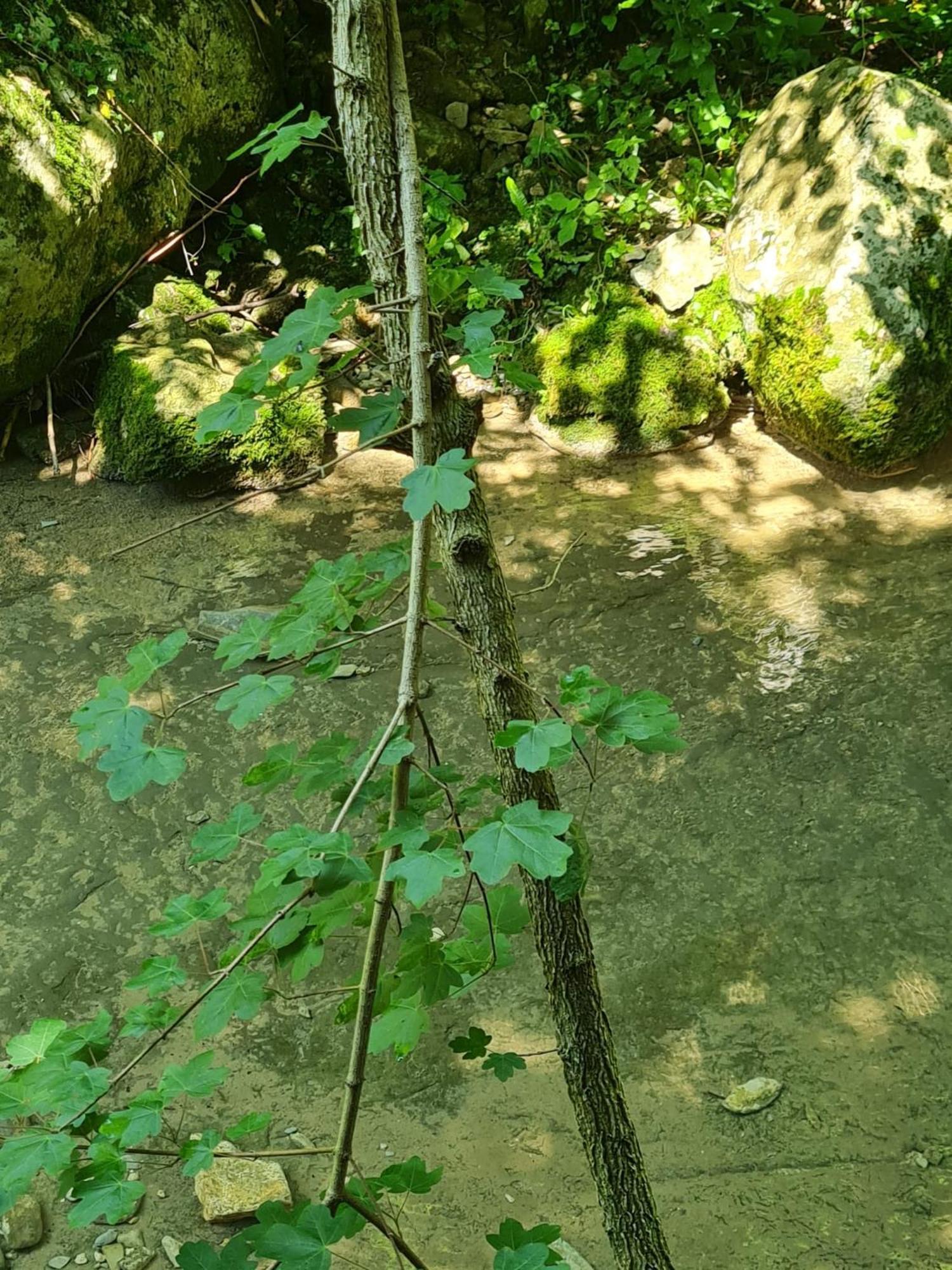 Alloggio Petrigh Canal di Grivo Exterior photo