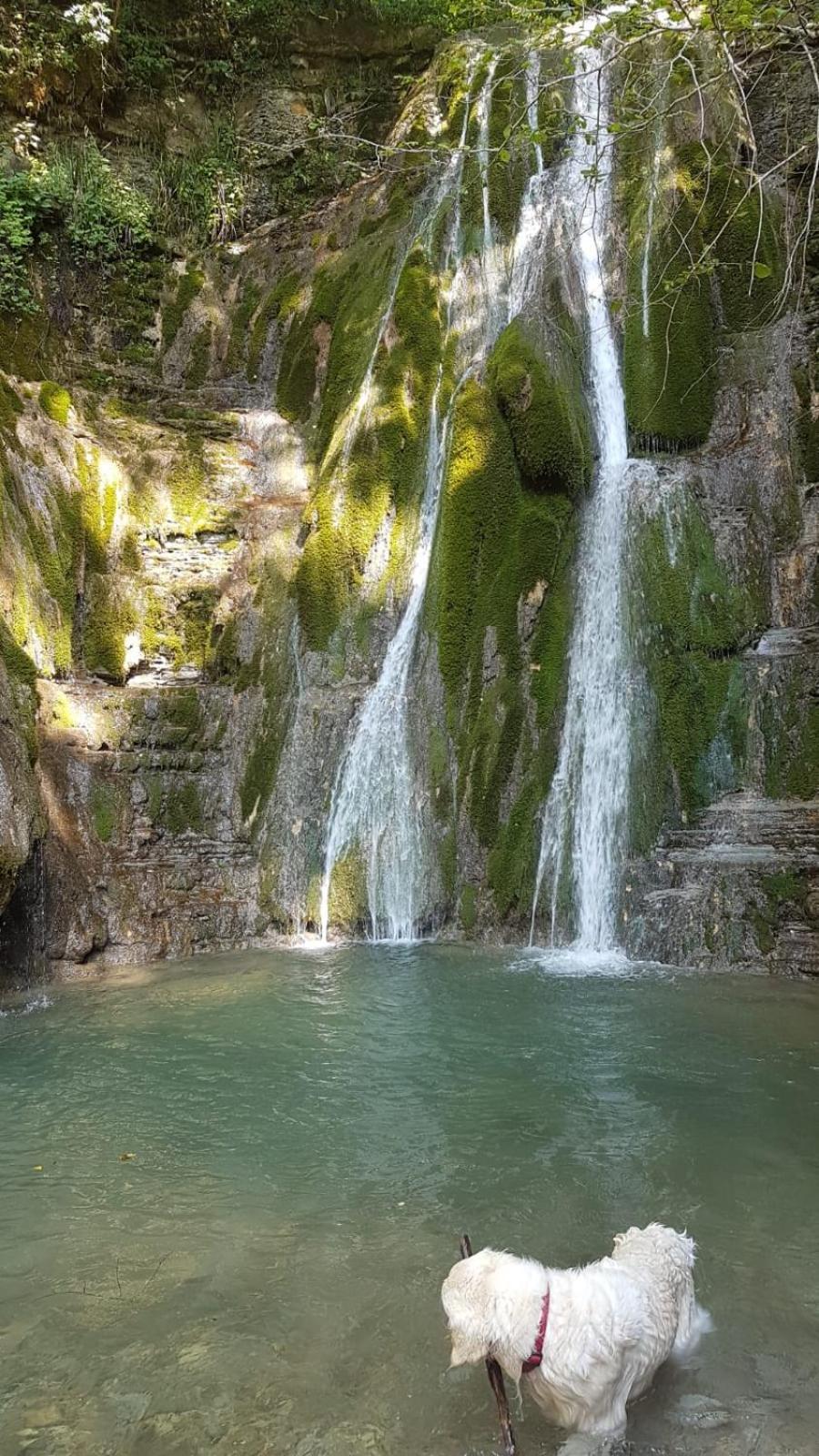 Alloggio Petrigh Canal di Grivo Exterior photo